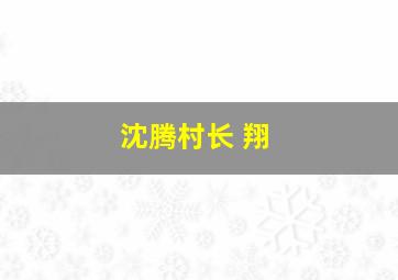 沈腾村长 翔